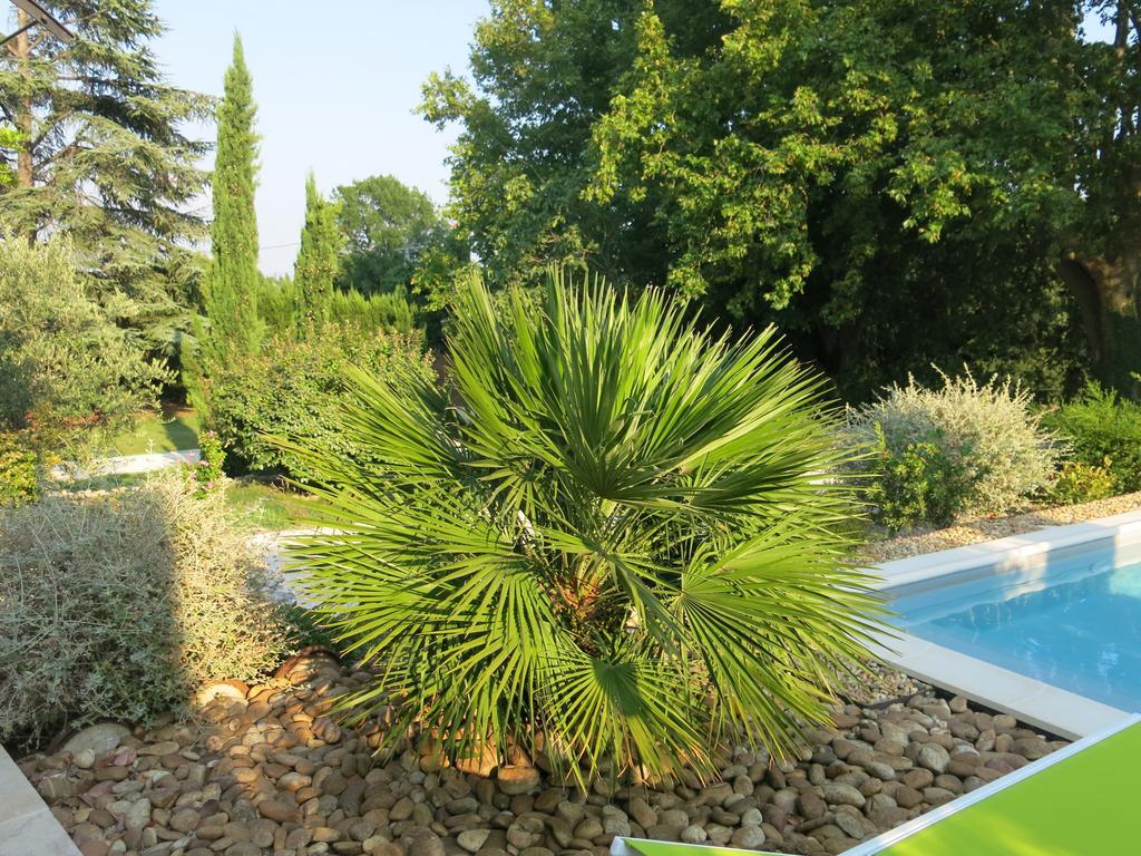 Mas De Mariette Bed and Breakfast Noves Esterno foto